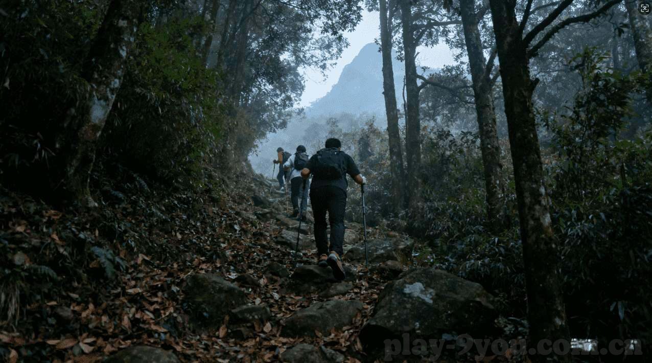 今日三场世界杯分析-今日三场世界杯分析，激情与策略的碰撞